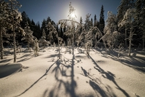 Freezing moonlit night in Lapland Finland   IG mpxmark