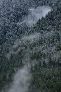 Fresh snow and lingering clouds in the Cascades of Oregon 
