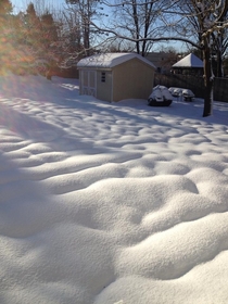Fresh snow on top of melted snow in Pennsylvania back yard X