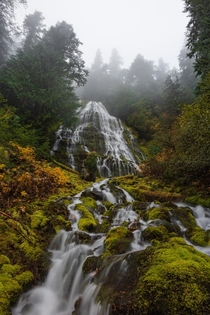 Freya Falls Oregon 