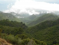 From a recent trip to the mountains outside Marbella Spain 