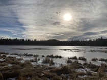 Frozen flooded meadow New Years day  Upper Deschutes River Oregon 