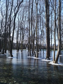 Frozen flooding water in my hometown Couilly-Pont-aux-Dames France 