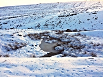 Frozen pond and bird footprints Peak District England 