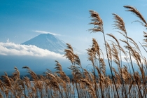 Fuji touches the sky - Japan  