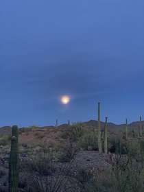 Full moon and Jupiter this evening in Tucson Arizona