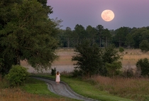 Full Moon Rising over Watermelon Pond near Gainesville Florida 