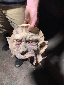 Gargoyle Head that fell from the ceiling molding in an abandoned theater