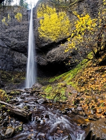Getting anxious for autumn waterfall hikes Last Autumn  Latourell Falls OR 