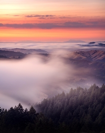 Ghostly Foggy Flow from Mt Tamalpais State Park California 