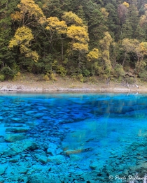 Glad I visited Jiuzhaigou China before the earthquake and was able to see the electric blue waters in the park color comes from CaCO deposits 
