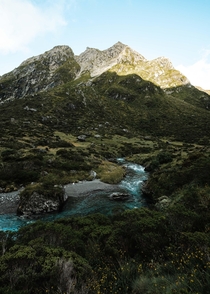 Going backpacking in New Zealand feels like youre on a different planet 