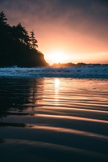 Golden hour low tide at Tofino BC  x