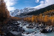 Golden larches and high glacier-covered mountains make autumn in Switzerland look like paradise on earth 