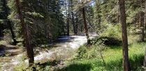 Gore Creek near Lionshead Vail CO 