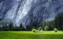 Gorgeous Meadow in Yosemite 