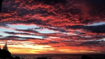 Gorgeous sunrise in Gisborne New Zealand - taken by yours truly