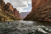 Grand Canyon AZ x 