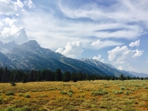 Grand Teton National park has great views from the road 