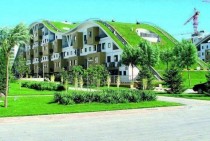 Grass roofed building x - post from rpics 