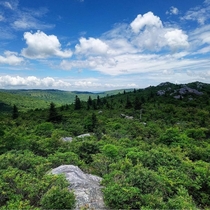 Grayson Highlands in Virginia USA 