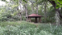 Great Depression age pavillion unused in the woods