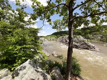 Great Falls National Park on Fathers Day 