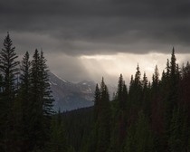Great light in Jasper National Park OC   