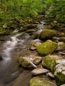 Great Smoky Mountains National Park is full of places that look like this 