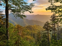 Great Smoky Mountains National Park Mount LeConte OC x