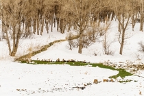 Green stream snaking through the winter wood lake Sevan Armenia 