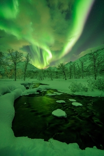 Green valley in Northern Norway December   mpxmark