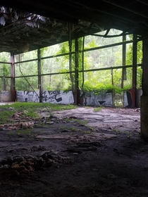 Greenery Claiming an Abandoned Chemical Plant NC 