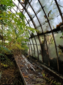 Greenhouse reclaimed by nature France