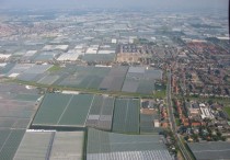 Greenhouses in Westland The Netherlands 