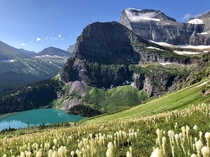 Grinnell Lake in Glacier National Park OC X
