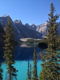 Had to jump on the bandwagon with my shot of Reddit Lake Moraine Lake AB Canada last September looking different on a sunny day no edits or filters at all 
