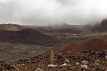 Haleakala NP looking like Mars 