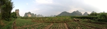 Hand-Cultivated Fields as Far as the Eye Can See Near Dragon Mouth Village Guilin China 