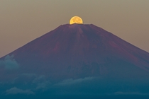 Harvest Moon over Mount Fuji - Shinichiro Saka 