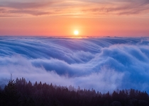 Have been waiting quite long for this rolling wave of fog sea in Mount Tamalpais glad to capture this scene last weekend 