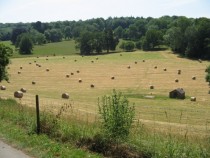 Hay bales in Surrey England 