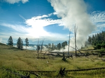 Hayden Valley Yellowstone National Park 
