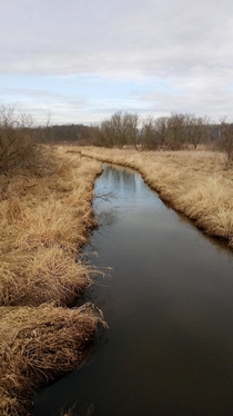 Headwaters of the Shiawassee river Mid-MI 
