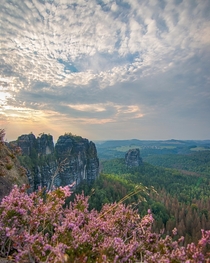 Heather overlooking Elbe Sandstone Mountains in Saxony Germany 