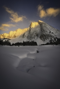 Heavenly fresh snow with jaw-dropping mountains in Kananaskis Country in Alberta Canada 