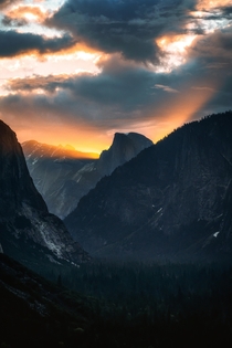 Heavenly Light Yosemite NP 