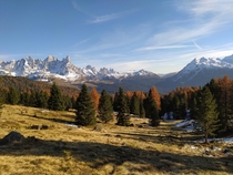 Hi This is a view from yesterday  of the Dolomites in Trentino during a trekking in the Paneveggio Natural Park and the beautiful colours of the forest 