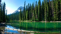 Hidden Lakes and Wapta Mountain Field BC 