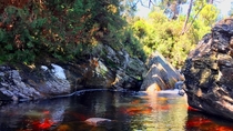 Hidden oasis off of the walking track at Cradle Mountain National Park Tasmania Australia 